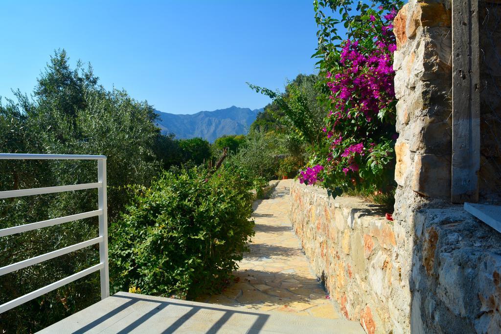 Villa Goxhi بورش الغرفة الصورة