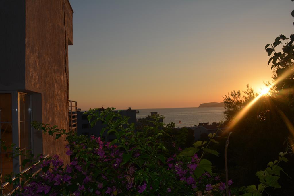 Villa Goxhi بورش الغرفة الصورة